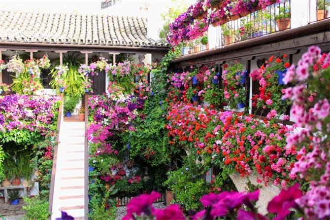 Monteras Cordoba Centro Διαμέρισμα Εξωτερικό φωτογραφία